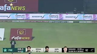 Cricket