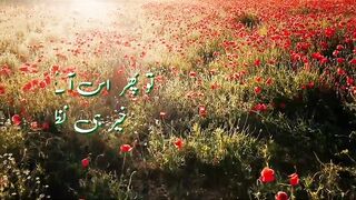 This is the beauty of Islam ❤️❤️❤️