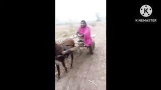 Funny videos munshi bhira and mhar
