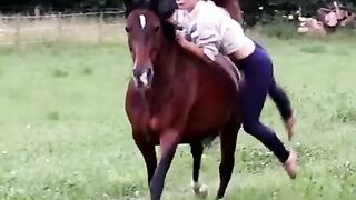 Nice horse ???? butefull horse