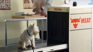 Top Pranks of 2020 | Best of Just For Laughs Gags