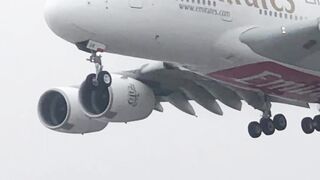 Fly Emirates #shorts #emirates #viral