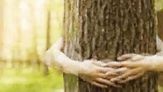 Parasise hop || copyright  Free background Music #freemusic #vlogingmusic #nocopyright @urdobaba6126 #hafiz722