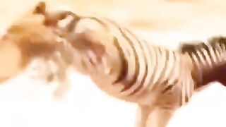 Hunting skills