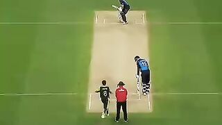 Cricket video