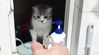 Fun   masti    FunVideo  funnyreels 142