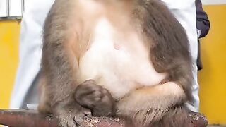 Fun   masti    FunVideo  funnyreels 143