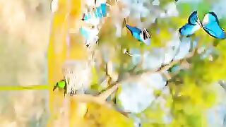 best 4k video 120 fps view. .shorts viralvideo 4k 120fps 2