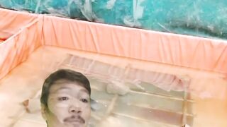 Kapan angkat kakaban setelah mijah