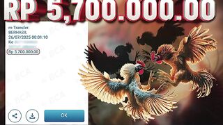 ELTONMPO MEMBER WITHDRAW SABUNG AYAM TERPERCAYA GA28