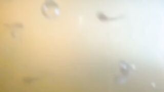Dimusim BEDIDING jika air kolam hijau tiba-tiba berubah bening, WASPADALAH