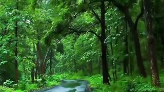 Sukoonnature naturephotography lovemusic raindrops raindrops love love lovestatus instagood instalike instadaily naturelove nat