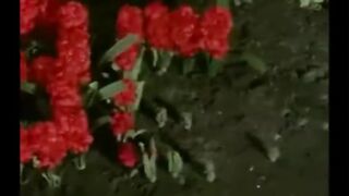 The BeaTles -  lonely hearts club band(480P)