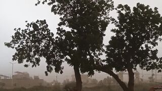 Heavy Rain 6