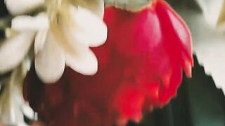 VIRAL VIDEO 4