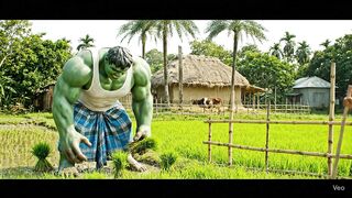 Hulka 2