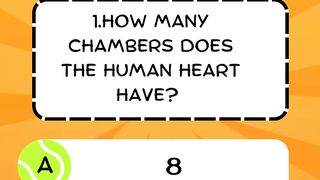 Quiz Test you knowledge