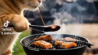 Orange cat cooking 2
