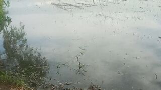 Nature 279
