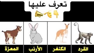 م معلومة  الحيوانات الحلال والحرام أكلها في الاسلام  ت
