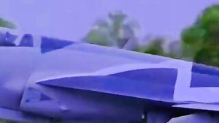 Pakistan airlines flight fun