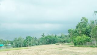 Best wether