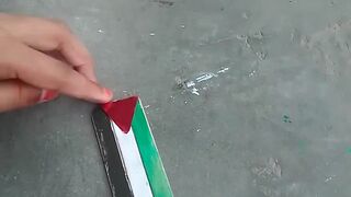 Palestine flag made by stick