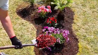 Making a lovely spot for flowers in the middle of the garden