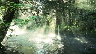 nature 43