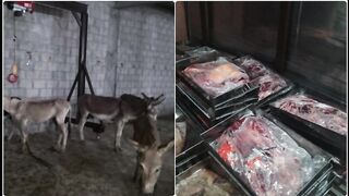 Donkey Meat Available in Islamabad