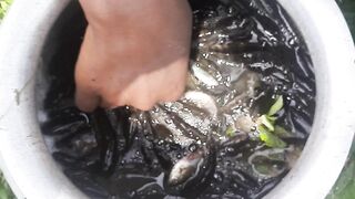 Fishing video 4