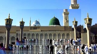 Arab City Mecca Madina birds