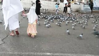 Alhamdulillah,