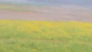Nature 282