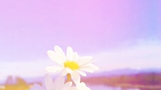 The song 3