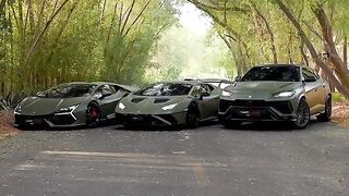 need  this 2