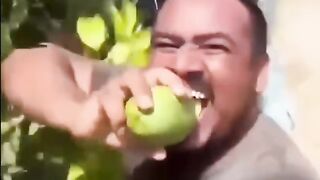 আম চর করত গছলম