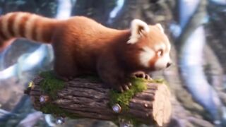 The Red Panda 2