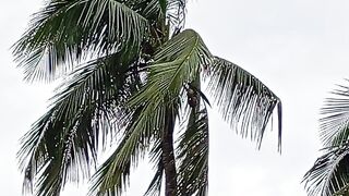 পরকতর সনদরয