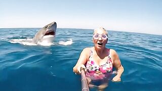 Fun   masti    FunVideo  funnyreels 157