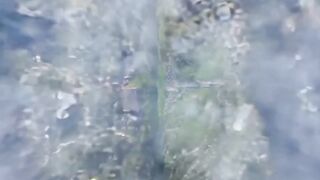 TikTok video 106