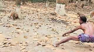 Bandar ko Bandar Mil Gaya