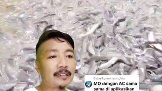 Maxoil  Aquacure katanya boleh dicampur, tapi kita harus lebih bijak