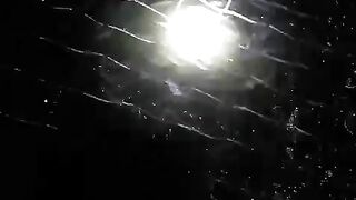 Kenapa kolam suka dipasang jaring diatasnya, untuk apa
