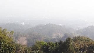 natural view 5