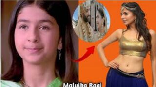 Malvika Raaj Lifestyle, House,  Family,  Net Worth,  Malvika Raaj hot,  Biography