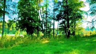 Beautiful nature 249