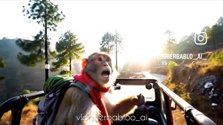 Monkey tiger