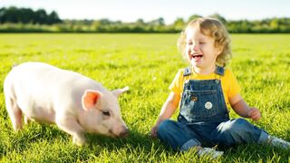 Adorable Kid Playing with a Cute Pig  Heartwarming Moment!