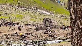 Hindi song viral